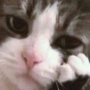 ::cattos84::