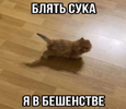 1710850200429.png