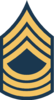 550px-Army-USA-OR-08b.svg.png