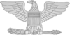 950px-US-O6_insignia_shaded.svg.png