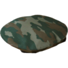 beret camo.png