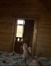IMG_5278.jpeg