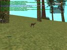 gallery3.jpg