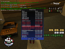 sa-mp-009.png