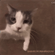 Shahrom Mahmadov