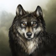 Viktor_Volkov