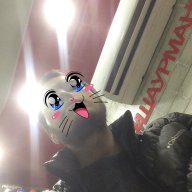 Ronka_Brown