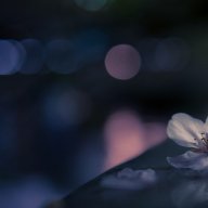 Konstantin_Nagiev