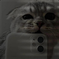 Billi_Honda