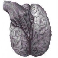 toropov01