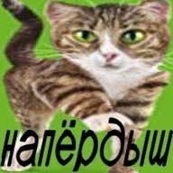pashokchkek