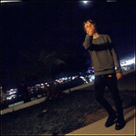 Foll_Gam