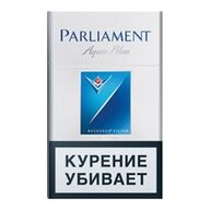 igor parlament