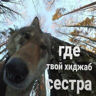 Andrey__Davydov