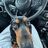 Trawka_Expert