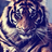 Vitto_Tigger