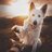 Anna_Somova