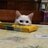 Dmitry_Sobolev