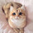 Alicia_Norberg