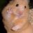 Pascal_Foluane