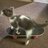 Egor_Red